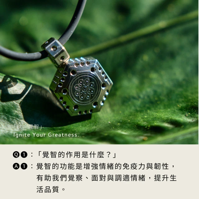 Beyond Mind|鈦覺智 Titanium Wisdomware 1 Beyond Mind-Titanium - Wisdomware